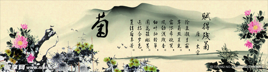 菊花