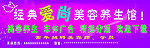 美容养生海报