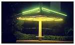 洛阳夜景