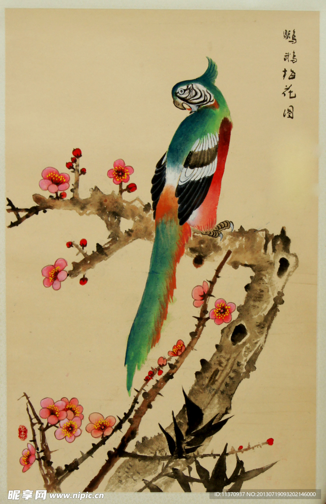 鹦鹉梅花图