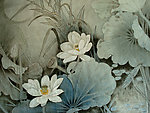 幽静 荷花