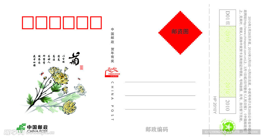 菊 明信片