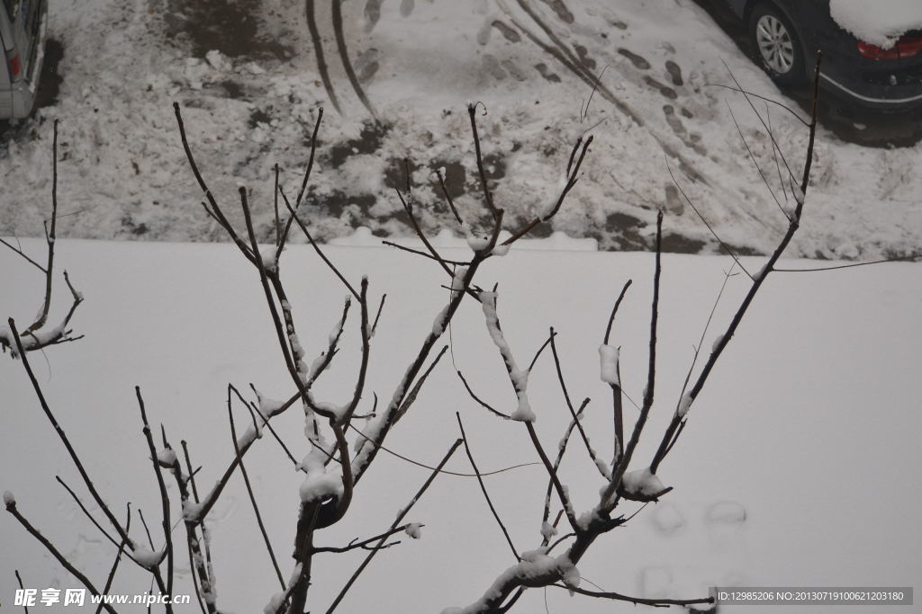 雪景