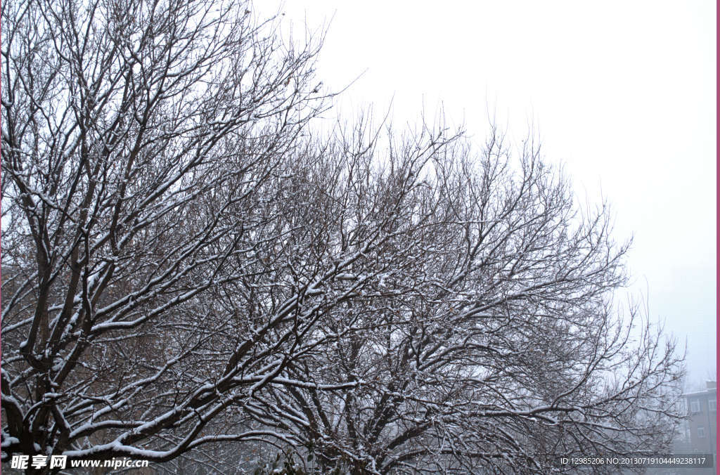 雪景