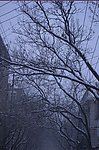 街道雪景