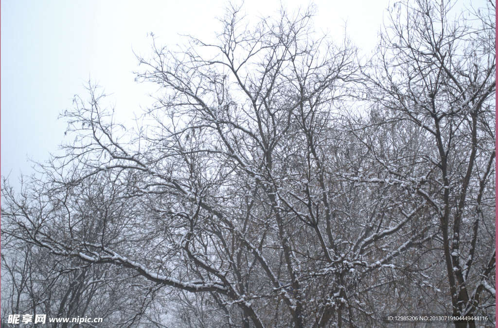 雪景