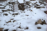 雪景