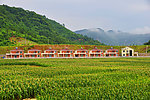山乡风光