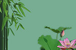 荷花背景
