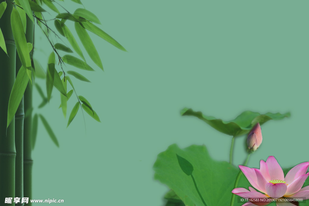 荷花背景