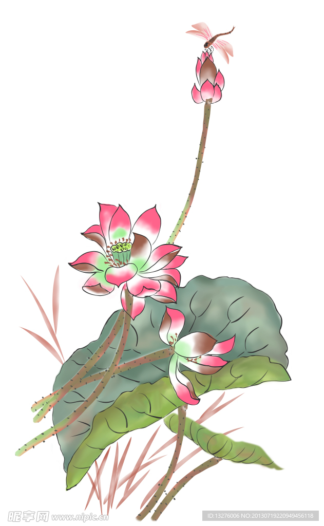 荷叶花
