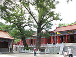 河南鲁山文殊寺