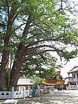 河南鲁山文殊寺