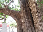 河南鲁山文殊寺