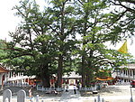 河南鲁山文殊寺