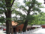 河南鲁山文殊寺