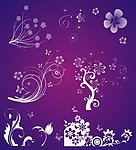 矢量花纹