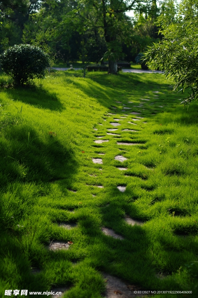 草地