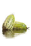水中蔬菜
