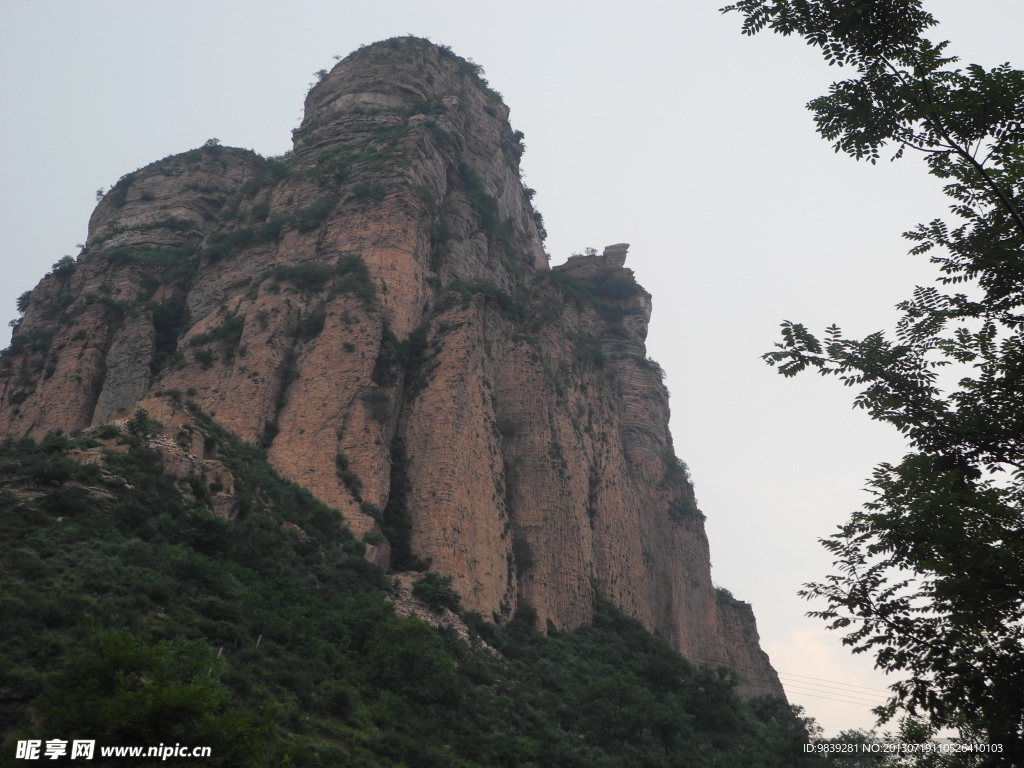 山峦 草丛