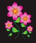 花纹
