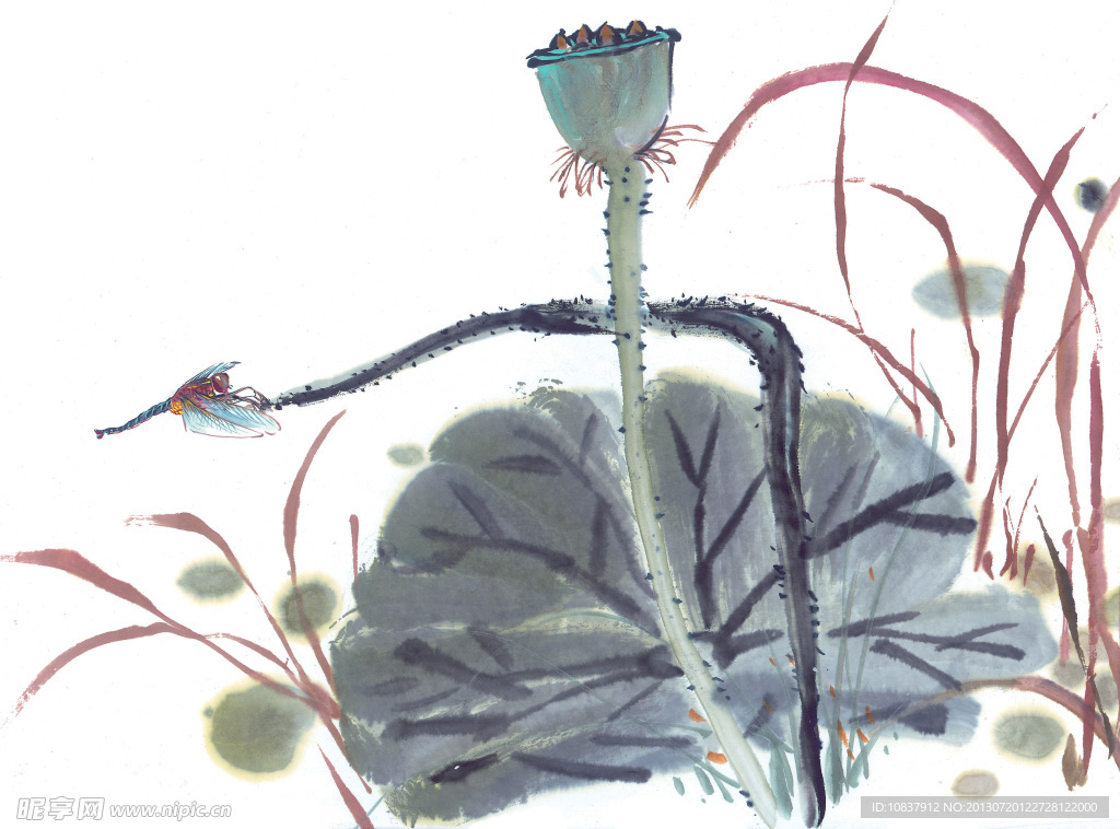 水彩花卉