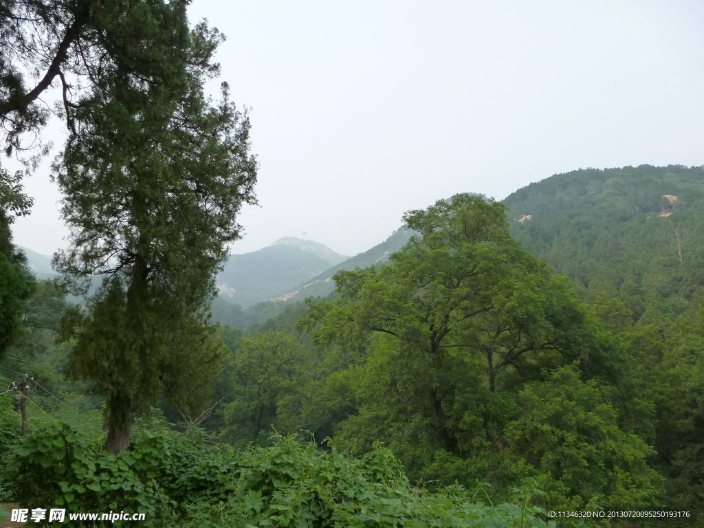 泰山风光