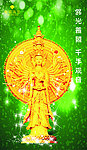 珠宝展示