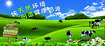 奶牛牧场