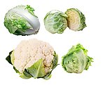 分层 蔬菜