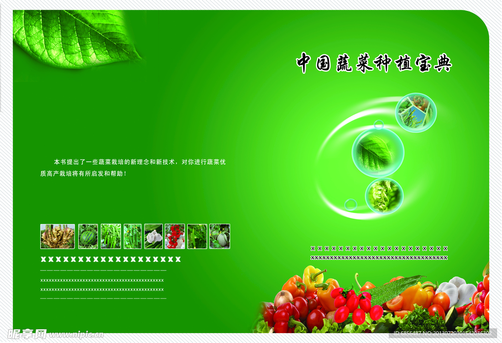 蔬菜包装