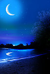 月光撒湖面