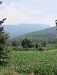 少室山北麓