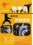 跆拳道宣传画