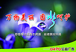 万物美丽 因水呵护