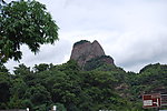 高山 植物