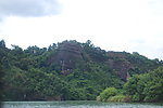 高山 植物
