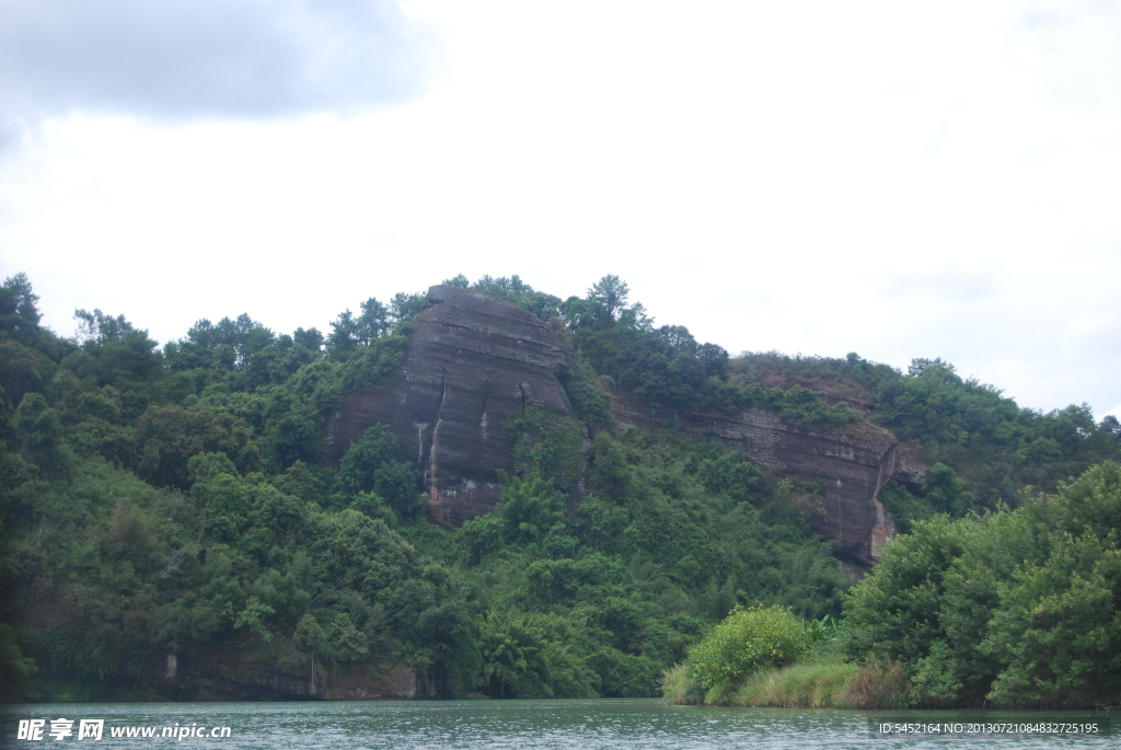 高山 植物