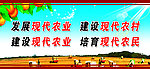 新农村村建设