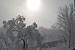 雪景
