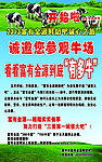 鲜奶吧背胶