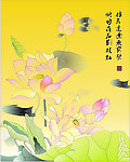 古典荷花 荷花