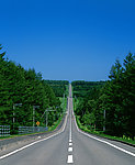 公路与树林风景