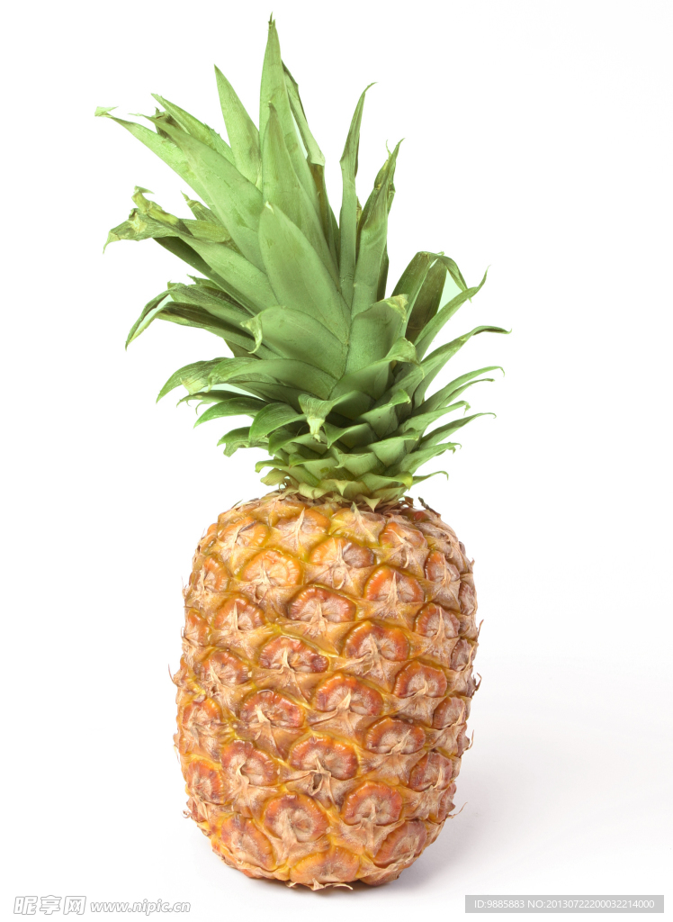 菠萝