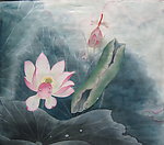 荷花
