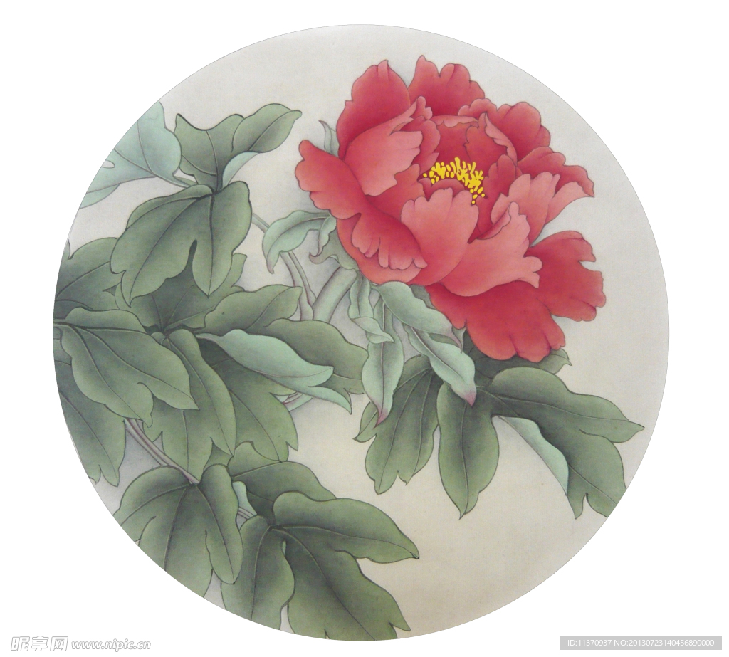 牡丹国画