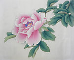 牡丹花