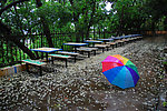 雨伞
