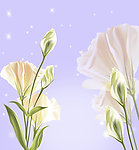 动漫花卉