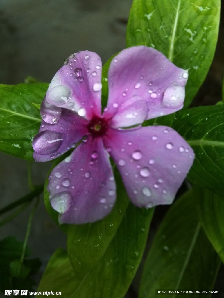 雨过天晴